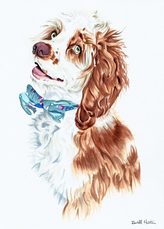 Dog pet portrait drawing