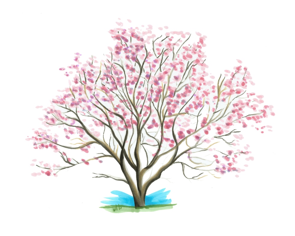 Magnolia Tree painting